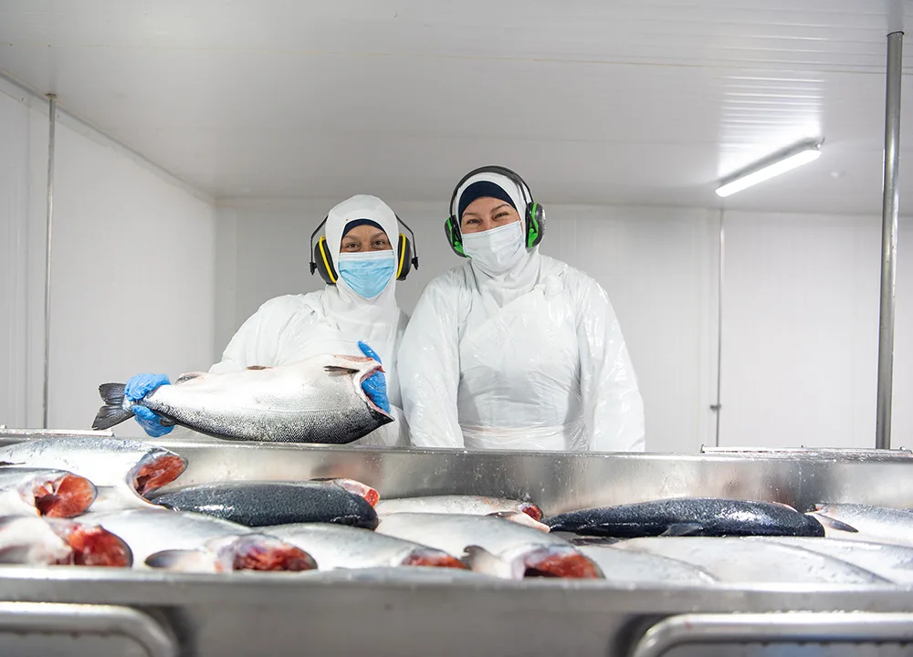 Operarios en planta de proceso de salmón
